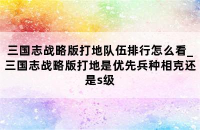 三国志战略版打地队伍排行怎么看_三国志战略版打地是优先兵种相克还是s级