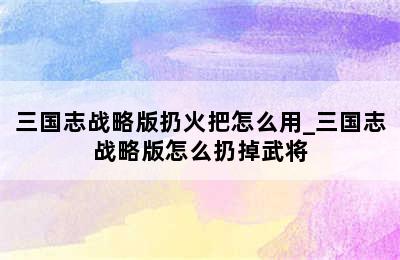 三国志战略版扔火把怎么用_三国志战略版怎么扔掉武将