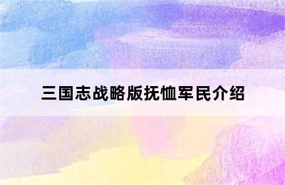 三国志战略版抚恤军民介绍