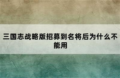 三国志战略版招募到名将后为什么不能用