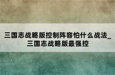 三国志战略版控制阵容怕什么战法_三国志战略版最强控