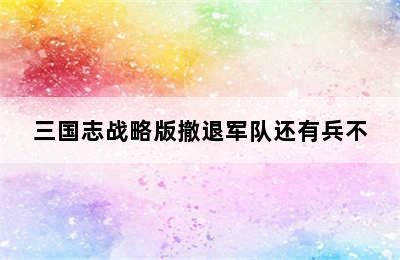 三国志战略版撤退军队还有兵不