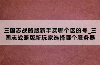 三国志战略版新手买哪个区的号_三国志战略版新玩家选择哪个服务器