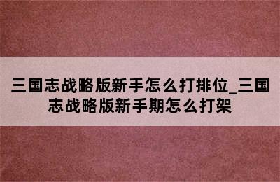 三国志战略版新手怎么打排位_三国志战略版新手期怎么打架