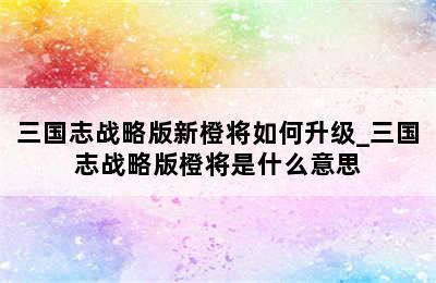 三国志战略版新橙将如何升级_三国志战略版橙将是什么意思