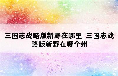 三国志战略版新野在哪里_三国志战略版新野在哪个州