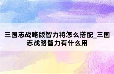 三国志战略版智力将怎么搭配_三国志战略智力有什么用