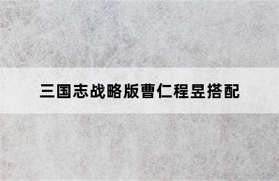 三国志战略版曹仁程昱搭配