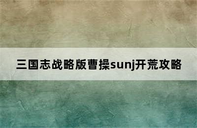 三国志战略版曹操sunj开荒攻略