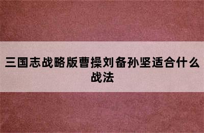 三国志战略版曹操刘备孙坚适合什么战法