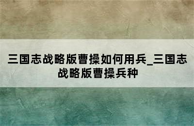 三国志战略版曹操如何用兵_三国志战略版曹操兵种