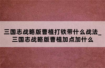 三国志战略版曹植打铁带什么战法_三国志战略版曹植加点加什么