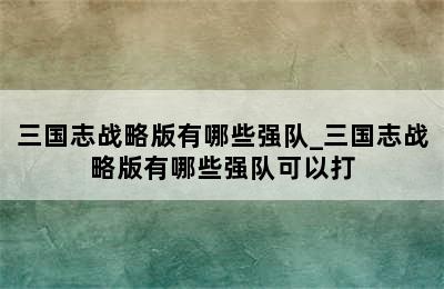 三国志战略版有哪些强队_三国志战略版有哪些强队可以打