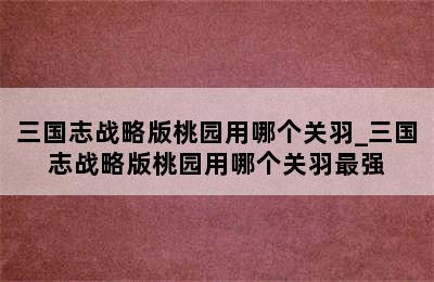 三国志战略版桃园用哪个关羽_三国志战略版桃园用哪个关羽最强