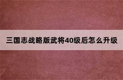 三国志战略版武将40级后怎么升级