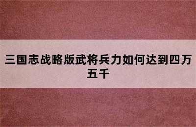 三国志战略版武将兵力如何达到四万五千