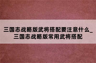 三国志战略版武将搭配要注意什么_三国志战略版常用武将搭配