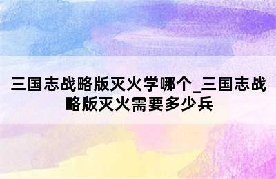 三国志战略版灭火学哪个_三国志战略版灭火需要多少兵