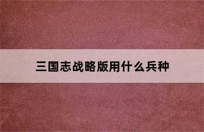 三国志战略版用什么兵种