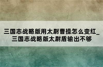 三国志战略版用太尉曹操怎么变红_三国志战略版太尉盾输出不够