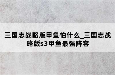 三国志战略版甲鱼怕什么_三国志战略版s3甲鱼最强阵容