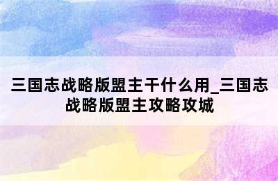 三国志战略版盟主干什么用_三国志战略版盟主攻略攻城