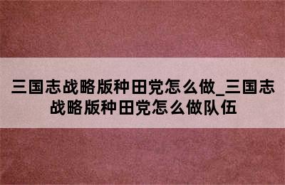 三国志战略版种田党怎么做_三国志战略版种田党怎么做队伍