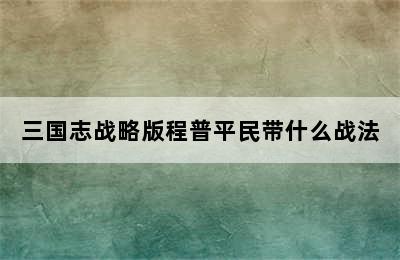 三国志战略版程普平民带什么战法