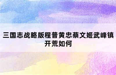 三国志战略版程普黄忠蔡文姬武峰镇开荒如何