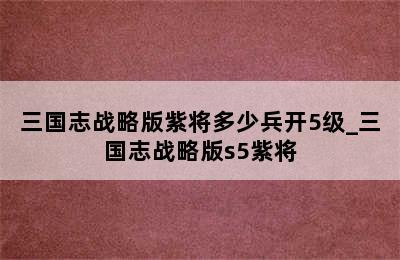 三国志战略版紫将多少兵开5级_三国志战略版s5紫将