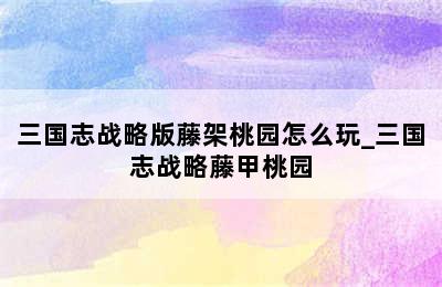 三国志战略版藤架桃园怎么玩_三国志战略藤甲桃园