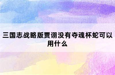 三国志战略版贾诩没有夺魂杯蛇可以用什么