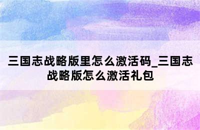 三国志战略版里怎么激活码_三国志战略版怎么激活礼包