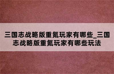 三国志战略版重氪玩家有哪些_三国志战略版重氪玩家有哪些玩法