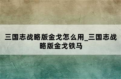 三国志战略版金戈怎么用_三国志战略版金戈铁马