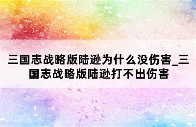 三国志战略版陆逊为什么没伤害_三国志战略版陆逊打不出伤害