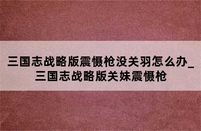 三国志战略版震慑枪没关羽怎么办_三国志战略版关妹震慑枪