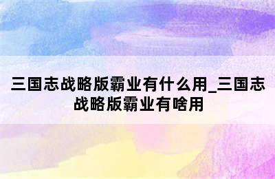 三国志战略版霸业有什么用_三国志战略版霸业有啥用