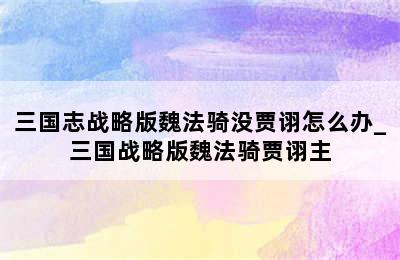 三国志战略版魏法骑没贾诩怎么办_三国战略版魏法骑贾诩主