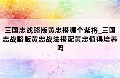 三国志战略版黄忠搭哪个紫将_三国志战略版黄忠战法搭配黄忠值得培养吗