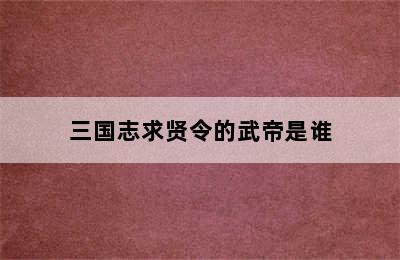 三国志求贤令的武帝是谁