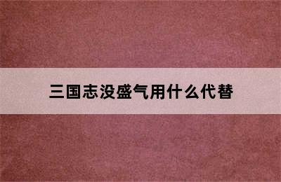 三国志没盛气用什么代替