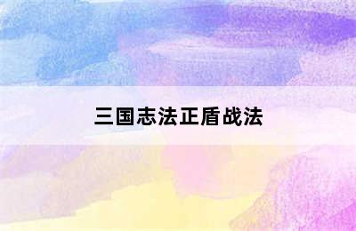 三国志法正盾战法