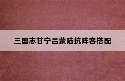 三国志甘宁吕蒙陆抗阵容搭配