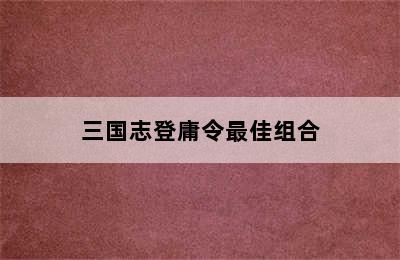 三国志登庸令最佳组合