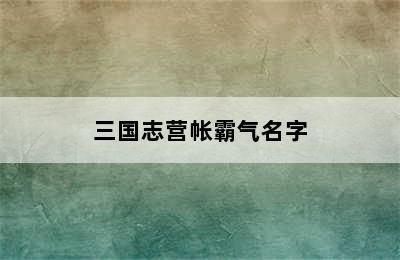 三国志营帐霸气名字