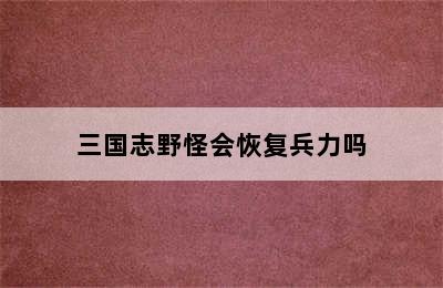 三国志野怪会恢复兵力吗
