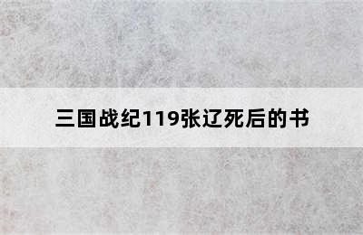 三国战纪119张辽死后的书