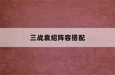 三战袁绍阵容搭配