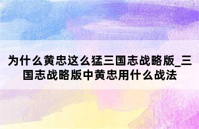 为什么黄忠这么猛三国志战略版_三国志战略版中黄忠用什么战法